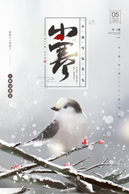 小寒节气传统活动宣传海报素材