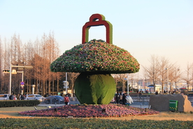 城市绿化大花篮