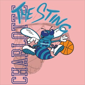 黄蜂队复古logo
