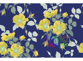 牡丹花eps矢量图