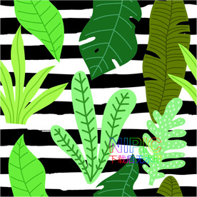 热带树叶eps图片