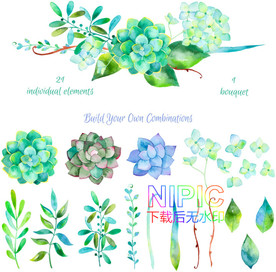 热带树叶eps图片