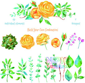 鲜花植物eps图形