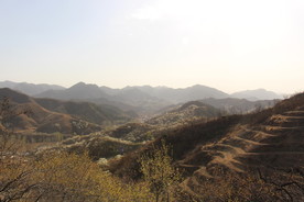 开满花朵的群山