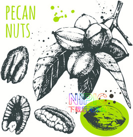 海鲜eps模板下载