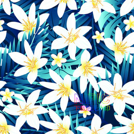 民族花纹eps图形