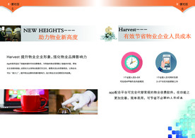 公司文化