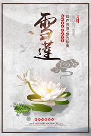 雪莲补品活动宣传海报素材