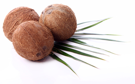 椰子