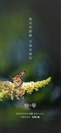 惊蛰