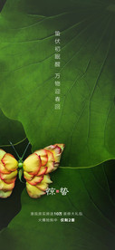 惊蛰