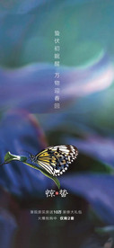 惊蛰