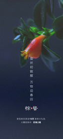 惊蛰