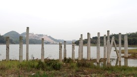 公园 山 水 风景 大自然 湖