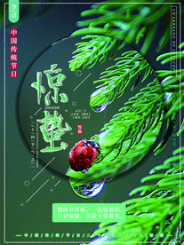 惊蛰海报
