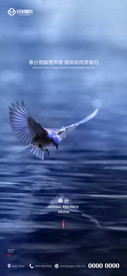 春分 二十四节气 地产 刷屏海