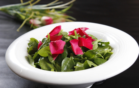 沪菜