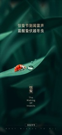 惊蛰海报 惊蛰朋友圈 惊蛰节气