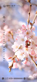 二十四节气海报 春分海报