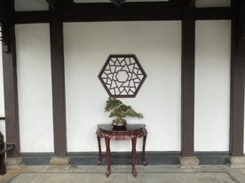 中式别墅庭院图片