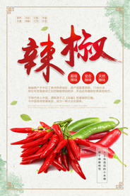辣椒海报