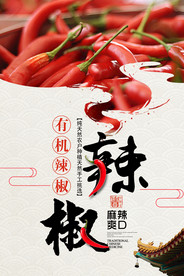 辣椒海报