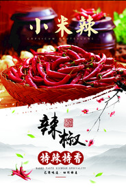 辣椒海报