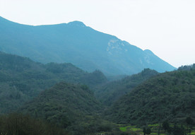 山