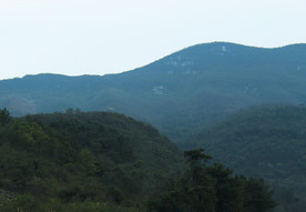 山