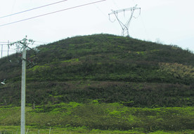 山