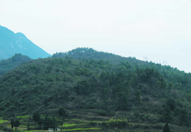 山