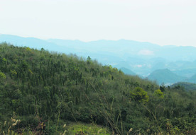 山