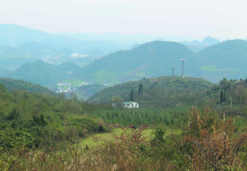 山 树林 森林  山川  山岭