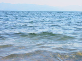 抚仙湖的水