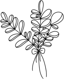 手绘植物