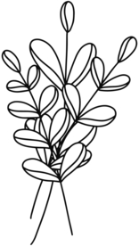 手绘植物