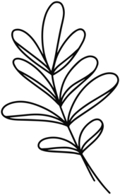 手绘植物