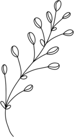 手绘植物