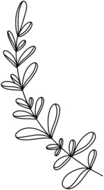 手绘植物