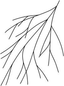 手绘树枝
