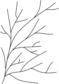手绘树枝