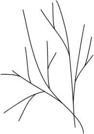 手绘树枝