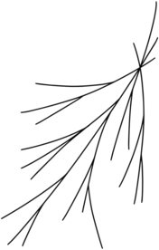 手绘树枝