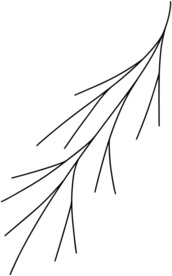 手绘树枝
