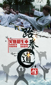 跆拳道海报