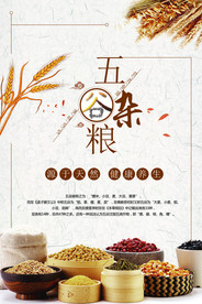 五谷杂粮海报