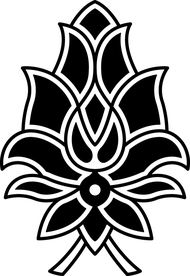 纹路纹理