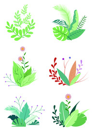 绿色植物