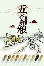 五谷杂粮海报