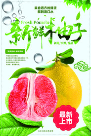 新鲜柚子